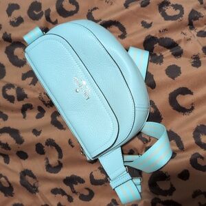 Kate Spade Baby Blue Fanny Pack